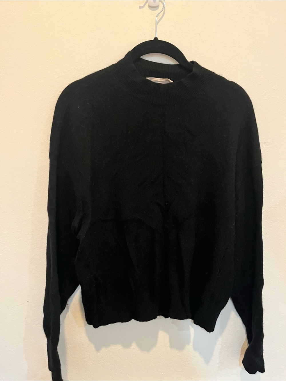 Everlane Mockneck cashmere sweater